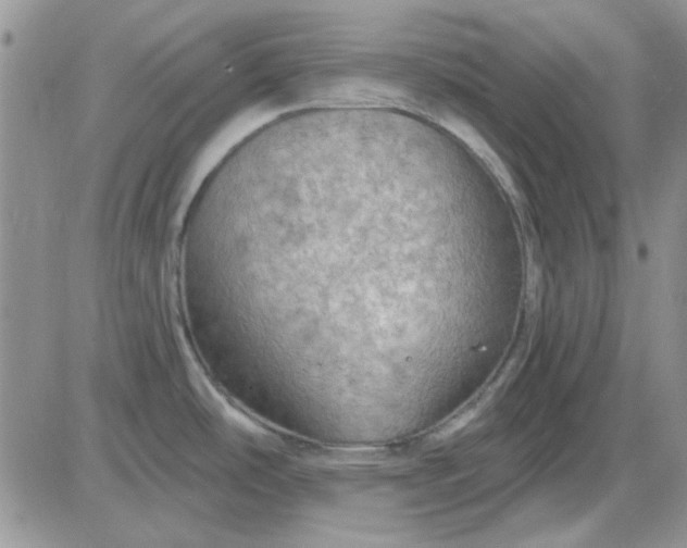 X0000085301486200703231845