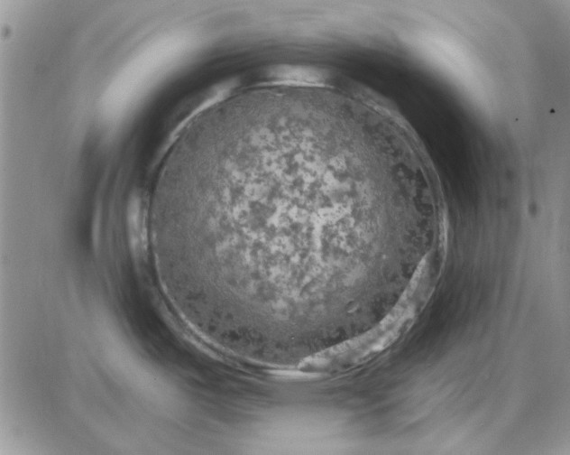 X0000085301487200703231845