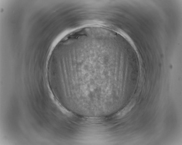 X0000085301488200703231845