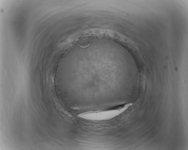 X0000085301489200703231845