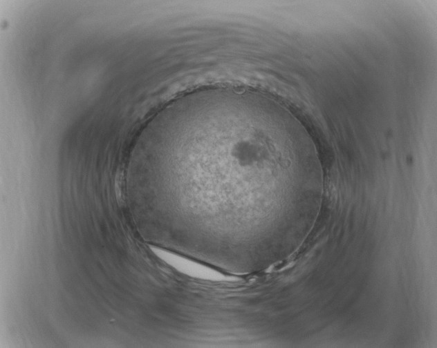 X0000085301490200703231845