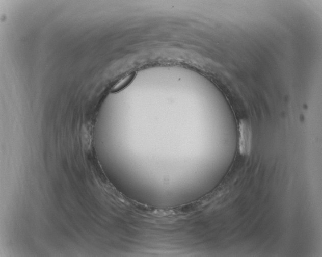 X0000085301491200703231845