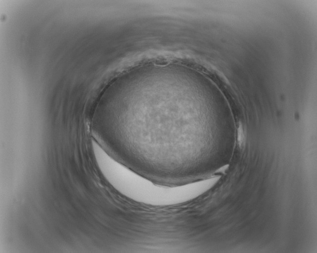 X0000085301492200703231845