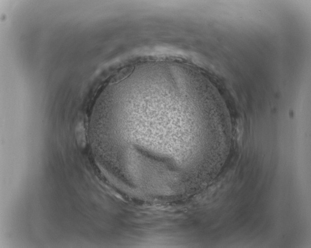 X0000085301493200703231845