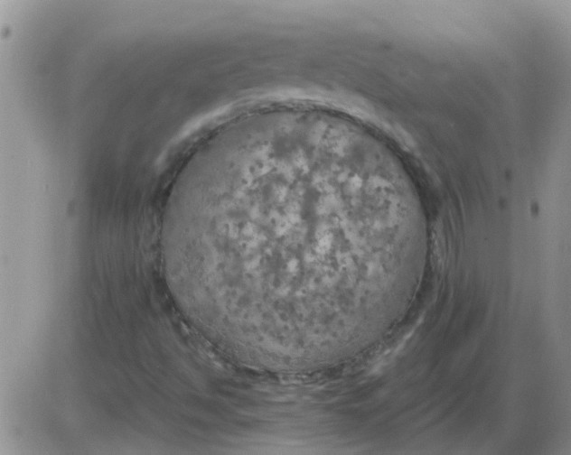 X0000085301494200703231845