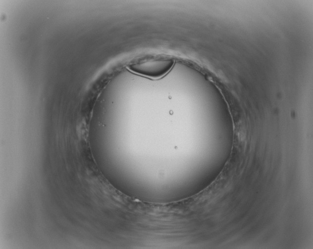 X0000085301495200703231845