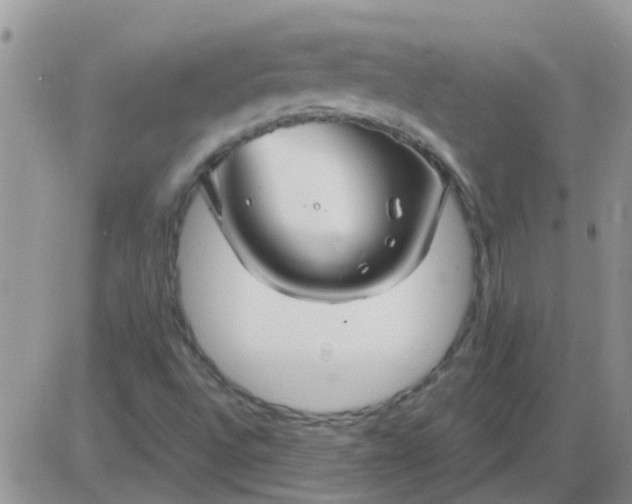 X0000085301496200703231845