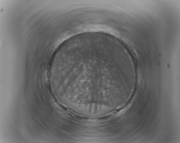 X0000085301497200703231845