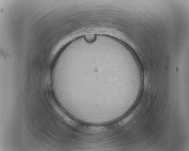 X0000085301498200703231845