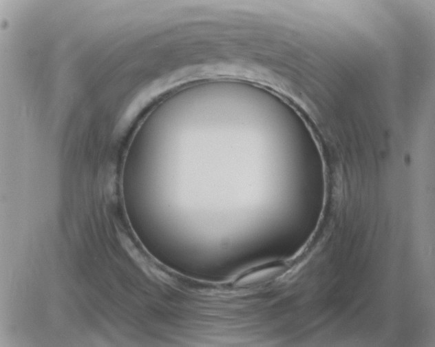 X0000085301499200703231845