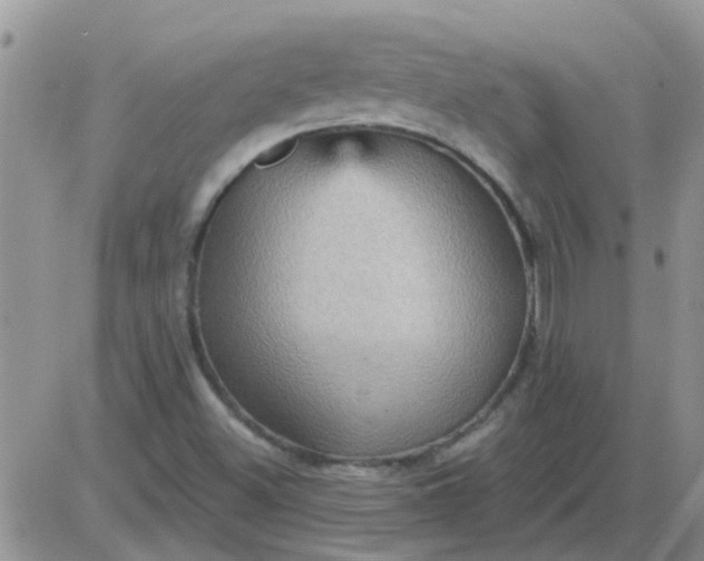 X0000085301500200703231845