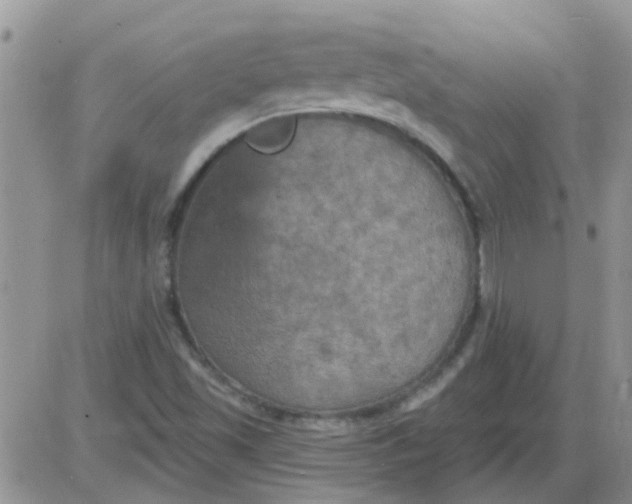 X0000085301501200703231845