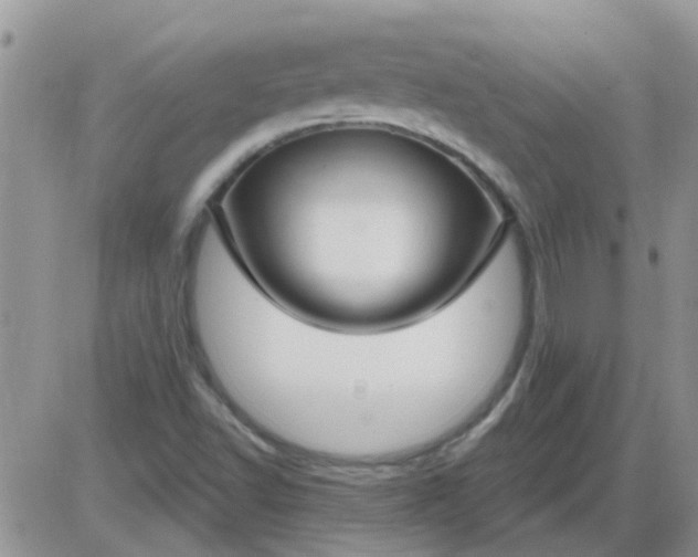 X0000085301502200703231845