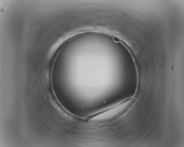 X0000085301503200703231845