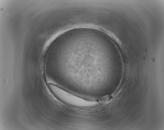 X0000085301504200703231845