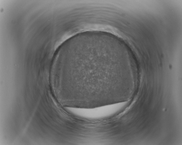 X0000085301505200703231845