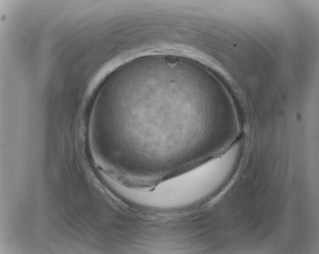 X0000085301506200703231845