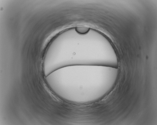 X0000085301507200703231845