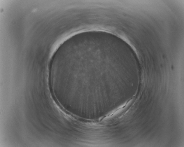 X0000085301508200703231845