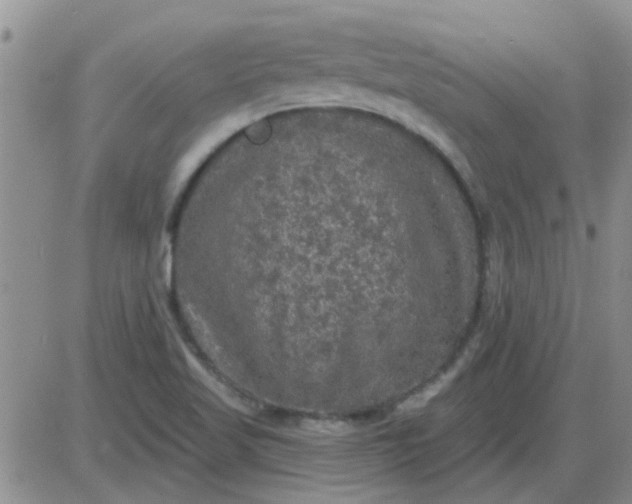 X0000085301509200703231845