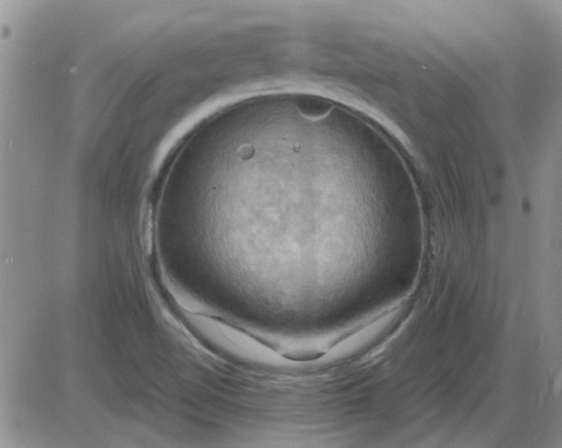 X0000085301510200703231845