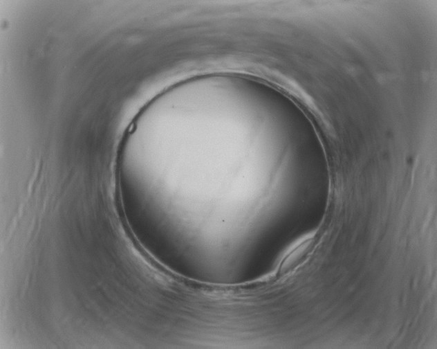 X0000085301512200703231845