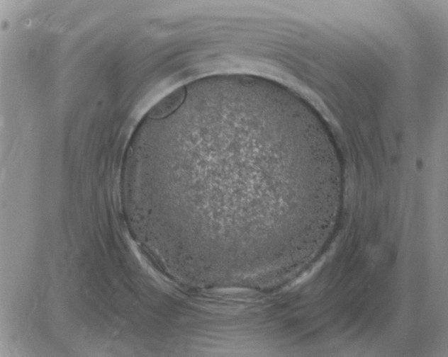 X0000085301513200703231845