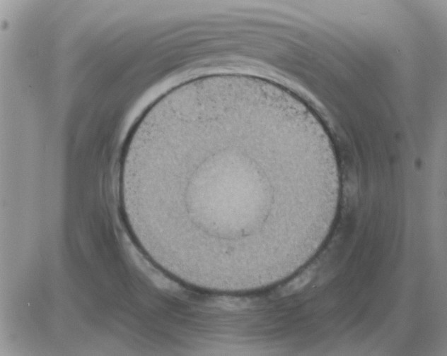 X0000085301514200703231845