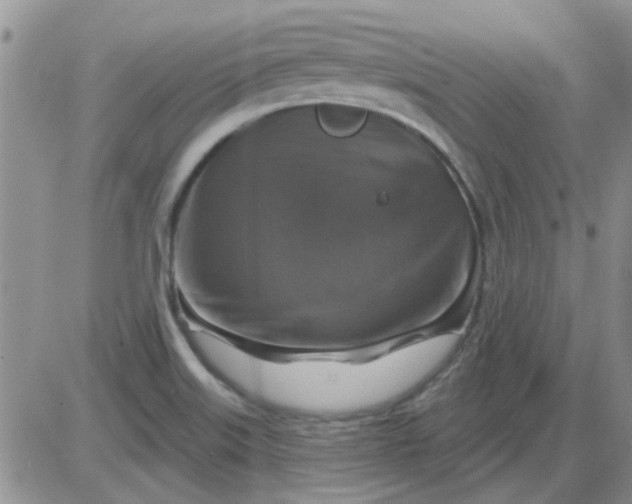 X0000085301515200703231845