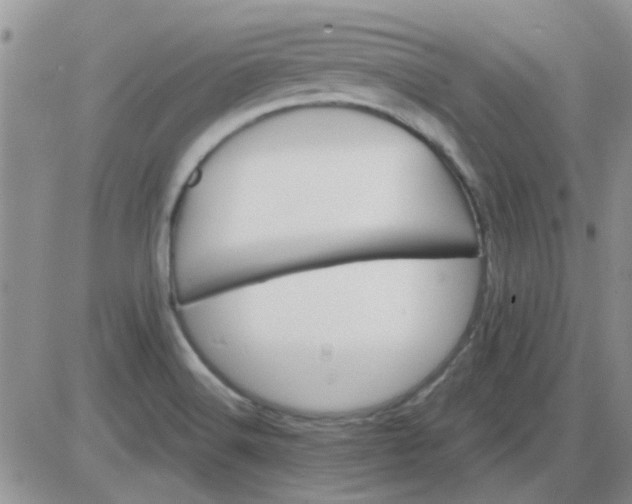 X0000085301516200703231845