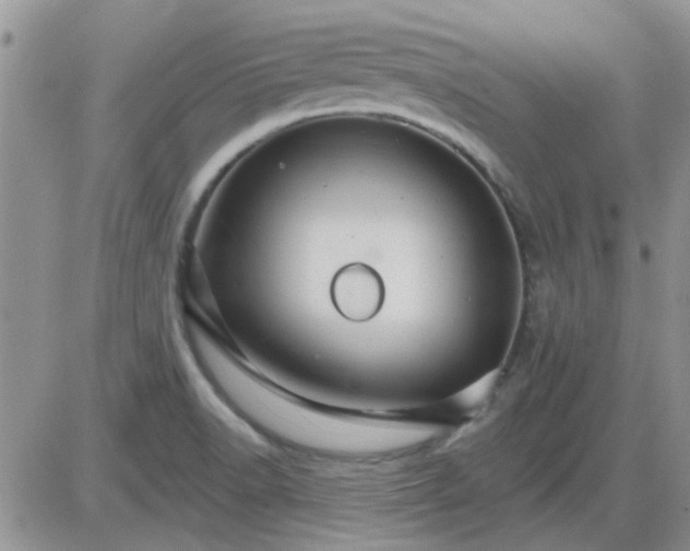 X0000085301518200703231845