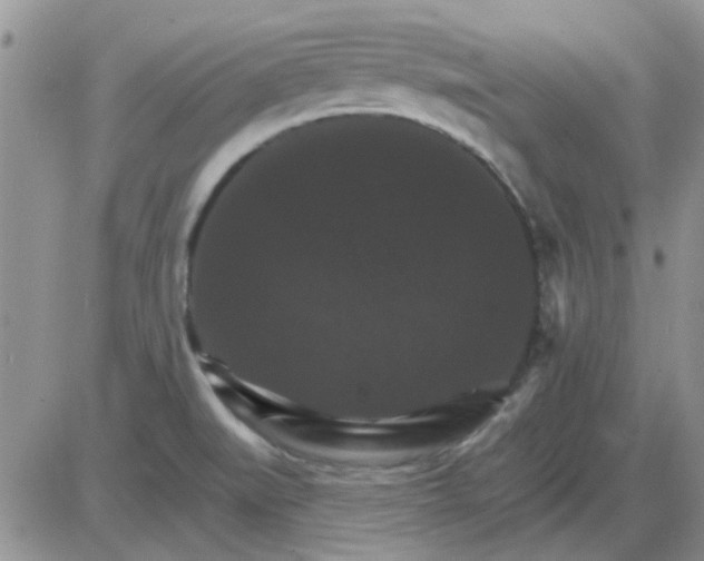 X0000085301519200703231845