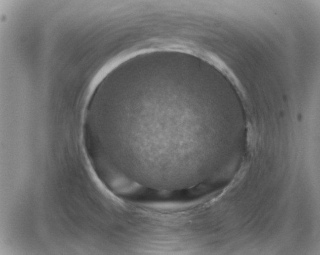 X0000085301520200703231845