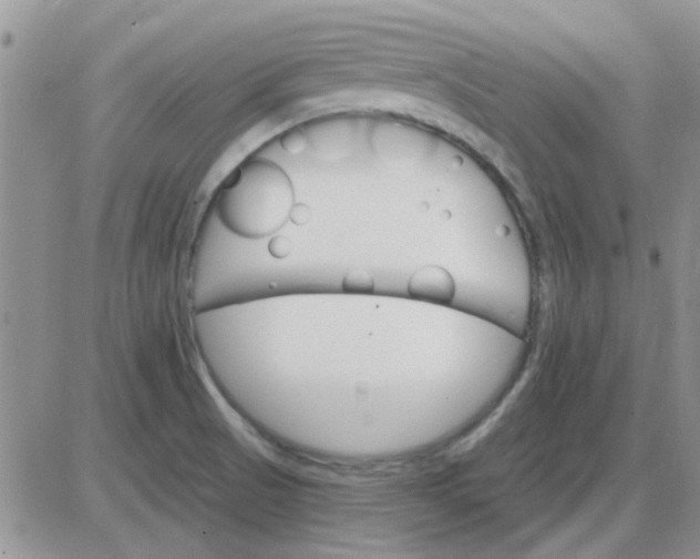 X0000085301521200703231845