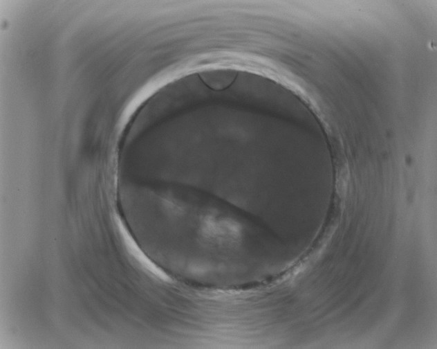 X0000085301522200703231845