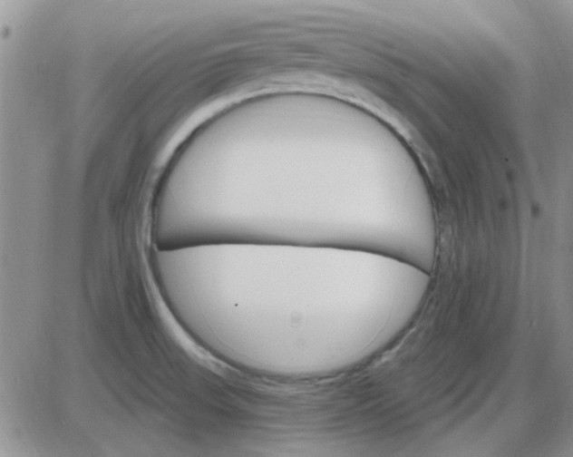 X0000085301523200703231845