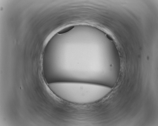 X0000085301524200703231845