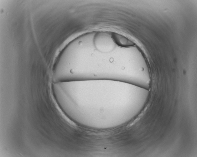 X0000085301525200703231845