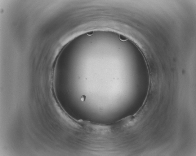 X0000085301526200703231845