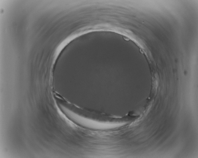 X0000085301527200703231845