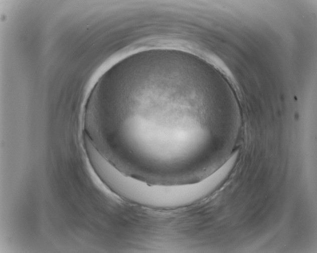 X0000085301528200703231845