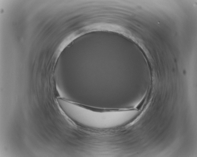 X0000085301529200703231845