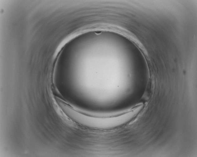 X0000085301530200703231845