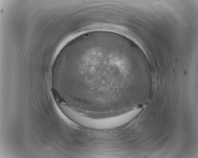 X0000085301531200703231845