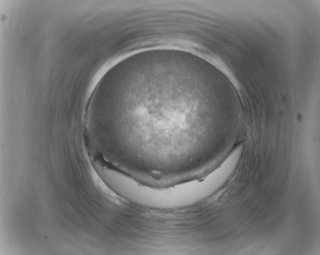 X0000085301532200703231845