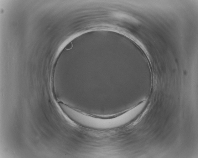 X0000085301533200703231845