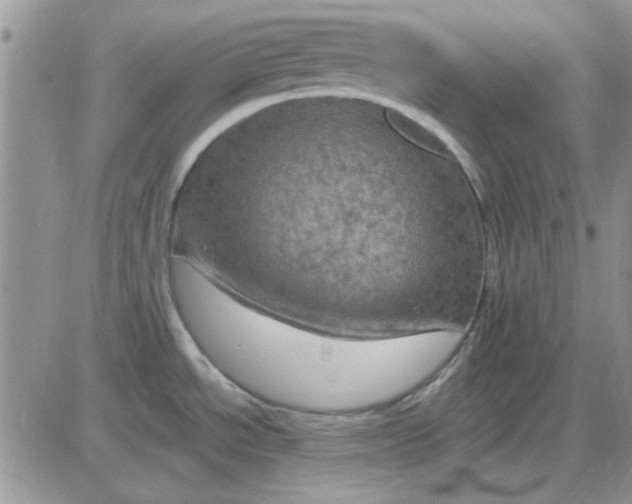 X0000085301534200703231845