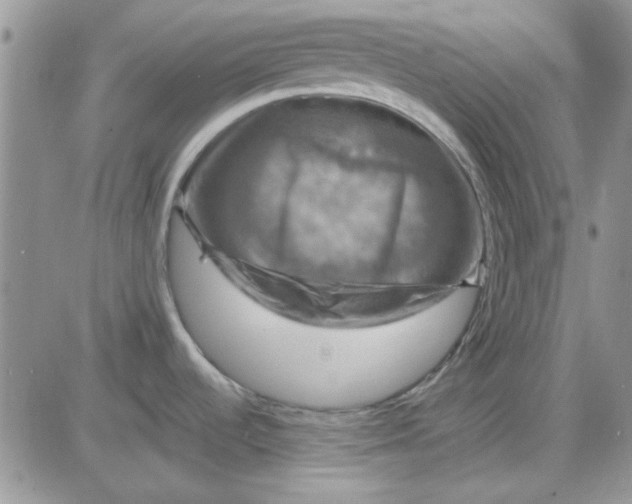 X0000085301536200703231845