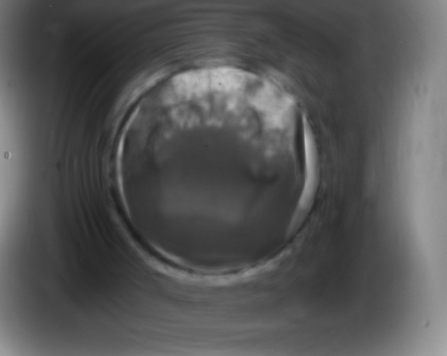 X0000085300002200703302011