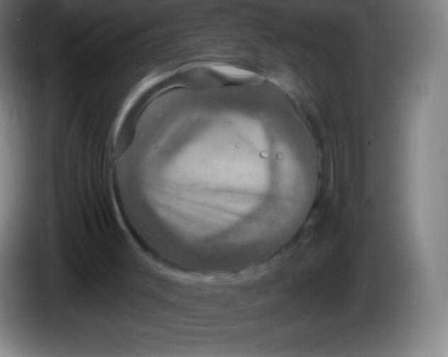 X0000085300003200703302011